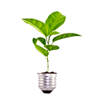 implementacion-de-proyectos-para-desarrollo-sustentable