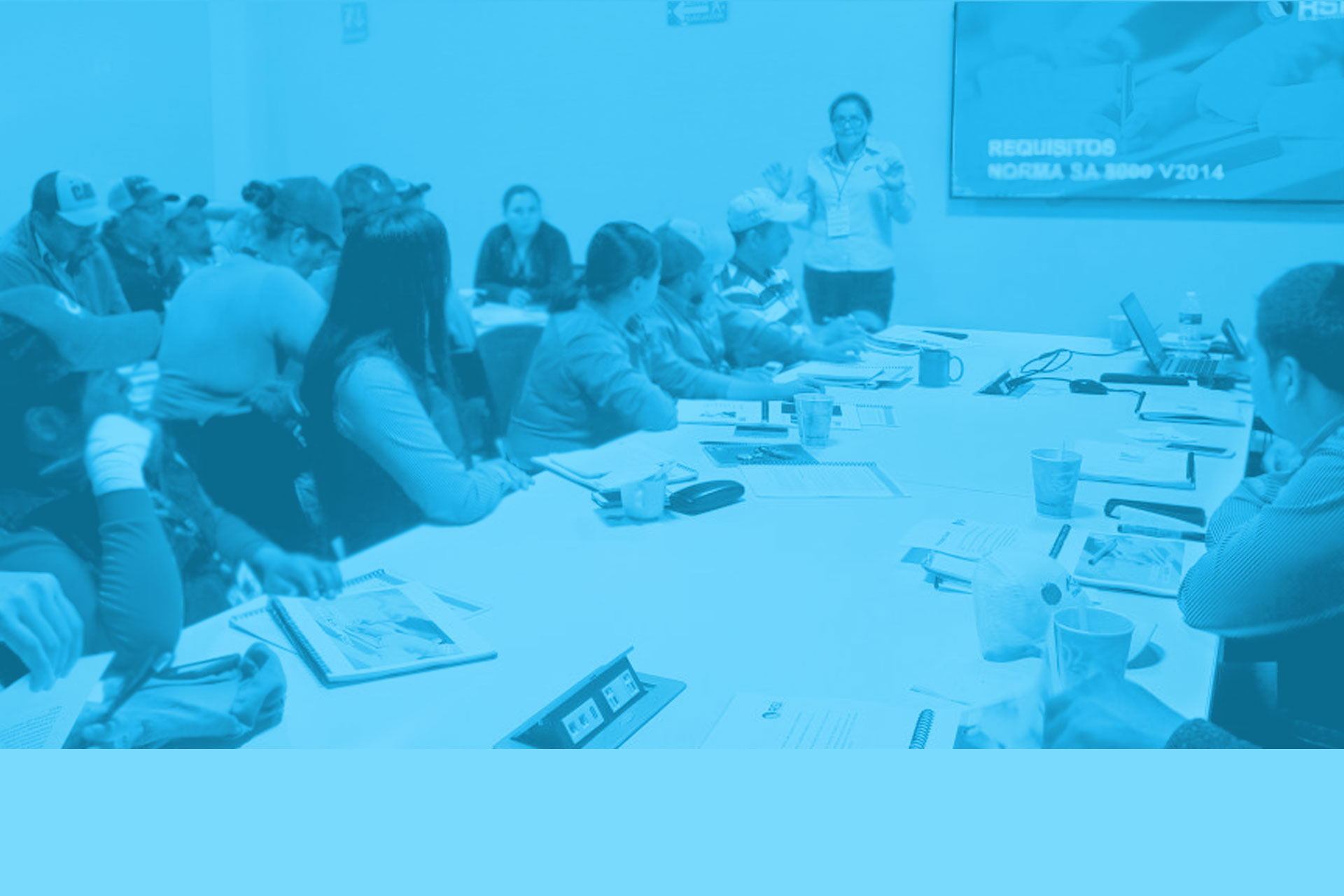 cursos-sustentables-para-empresas