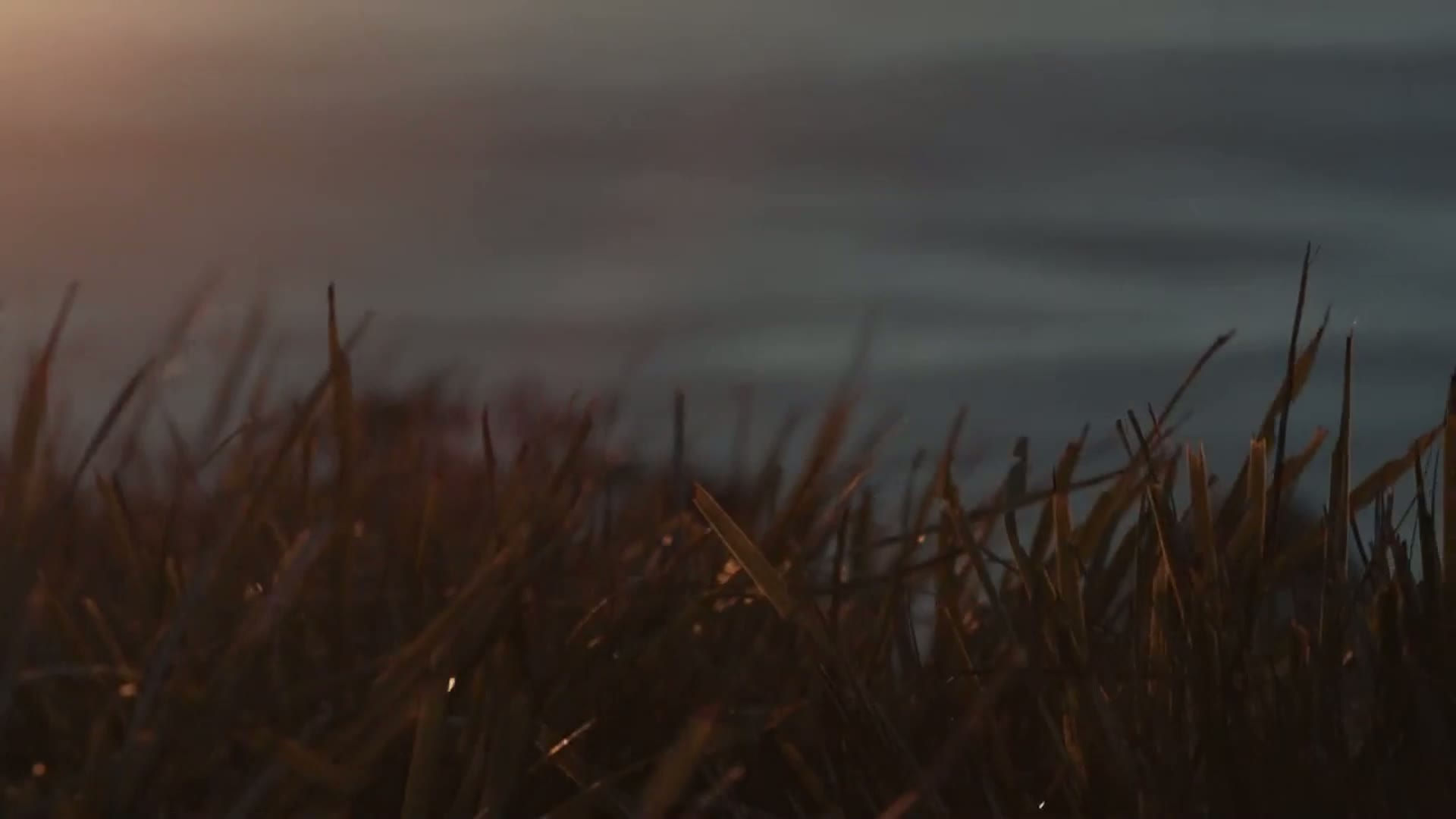 video-desarrollo-sustentable